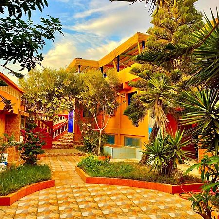 Surf & Salsa Ocean House Bed and Breakfast Tamraght Buitenkant foto