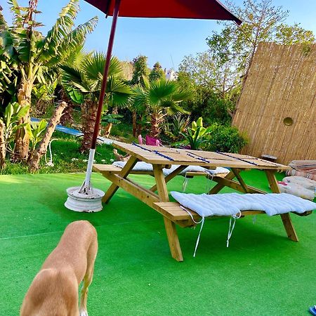 Surf & Salsa Ocean House Bed and Breakfast Tamraght Buitenkant foto