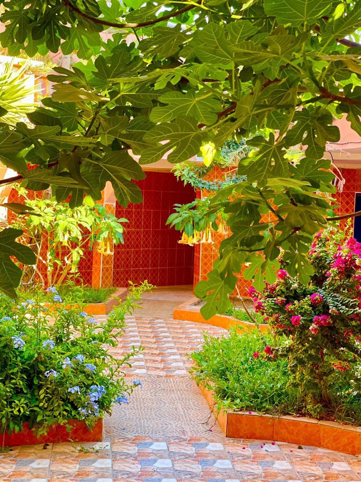 Surf & Salsa Ocean House Bed and Breakfast Tamraght Buitenkant foto