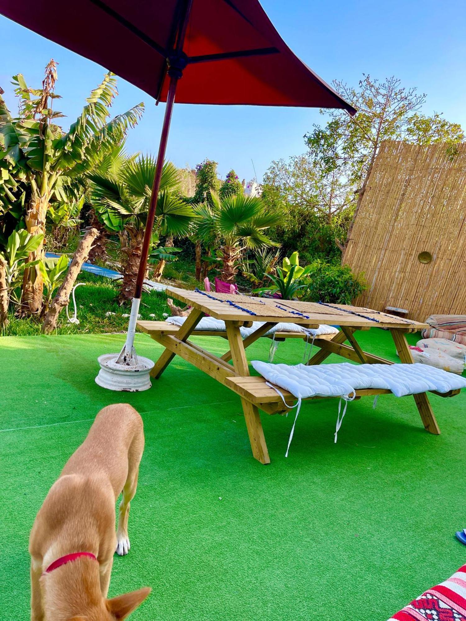 Surf & Salsa Ocean House Bed and Breakfast Tamraght Buitenkant foto